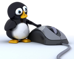 Google Penguin