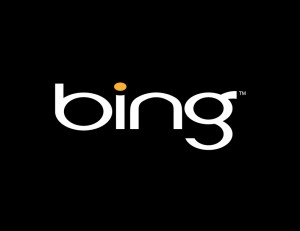 Bing Logo 2